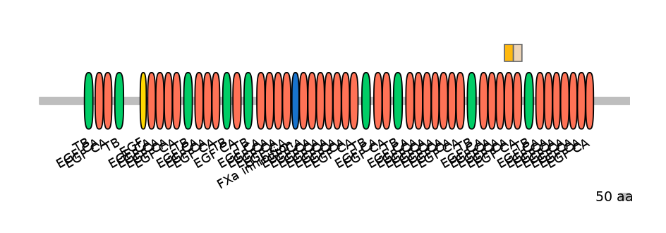 HsaINT0062488-EXC