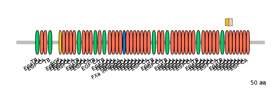 HsaINT0062491-EXC