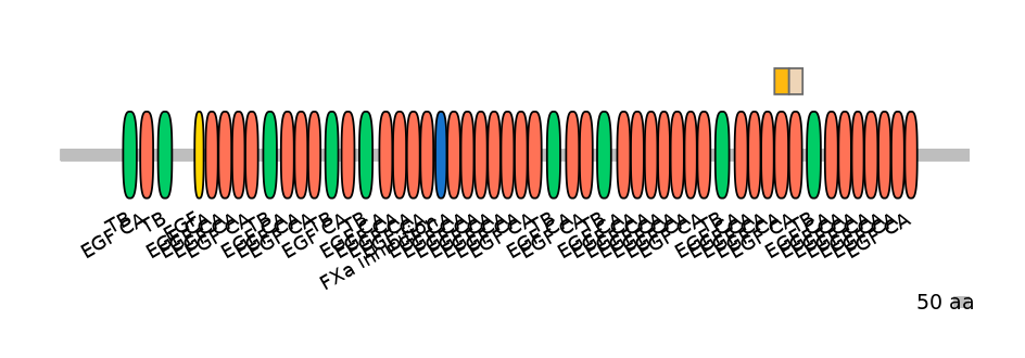HsaINT0062550-EXC