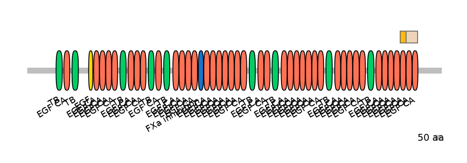 HsaINT0062558-EXC