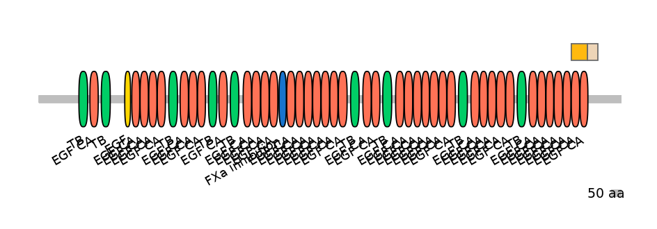 HsaINT0062559-EXC