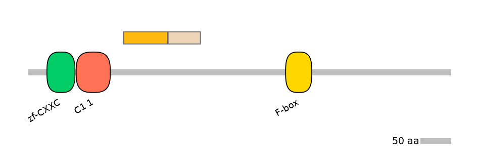 HsaINT0062651-EXC