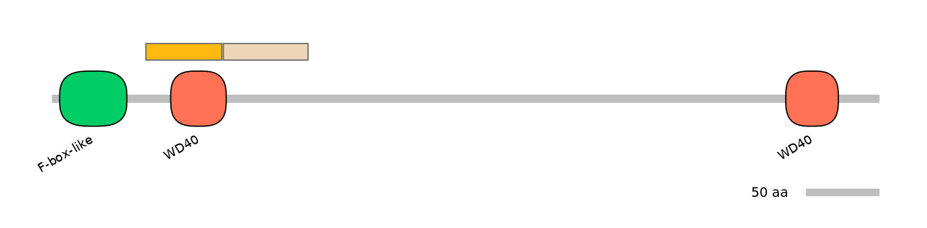 HsaINT0063056-EXC
