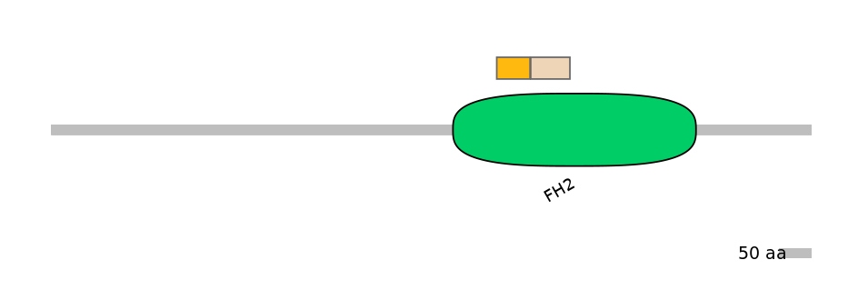 HsaINT0064151-EXC