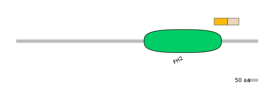 HsaINT0064156-EXC