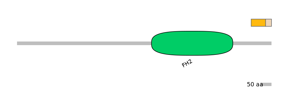 HsaINT0064159-EXC