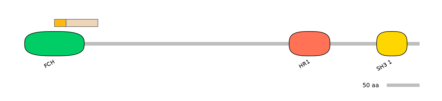 HsaINT0065329-EXC