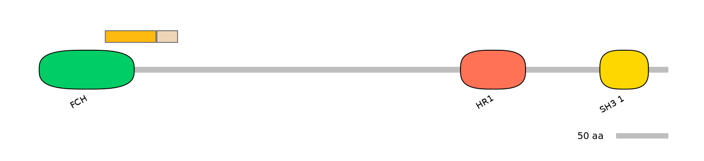 HsaINT0065330-EXC