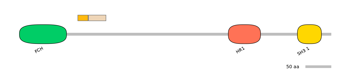HsaINT0065331-EXC