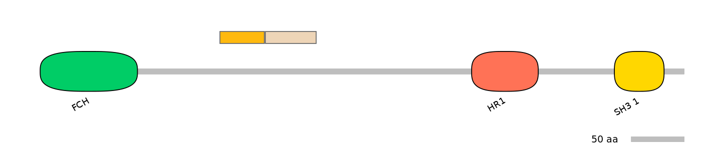 HsaINT0065333-EXC