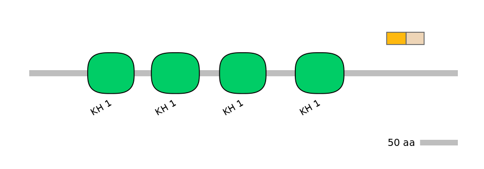 HsaINT0066556-EXC