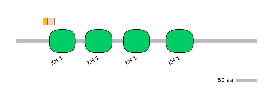 HsaINT0066560-EXC
