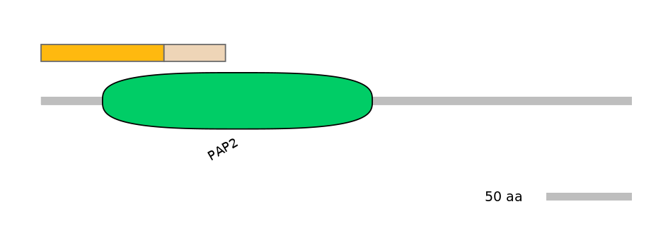 HsaINT0066925-EXC
