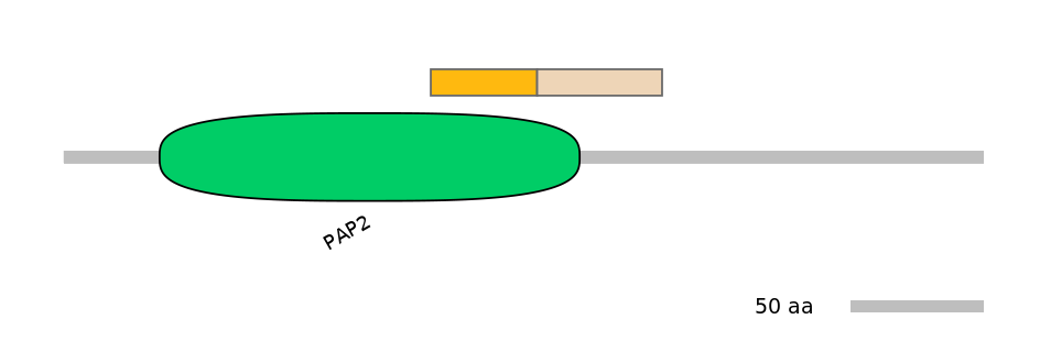 HsaINT0066928-EXC