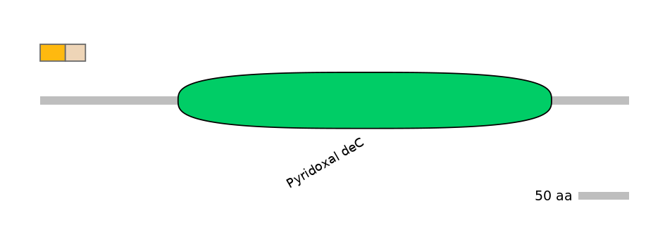 HsaINT0067239-EXC