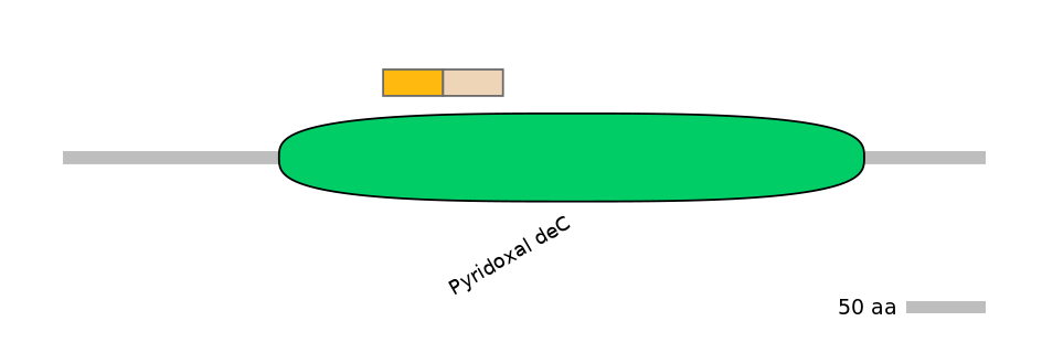HsaINT0067250-EXC