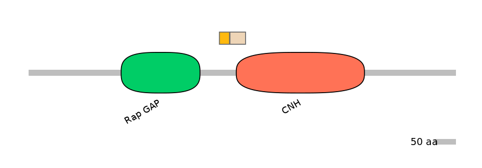 HsaINT0067757-EXC