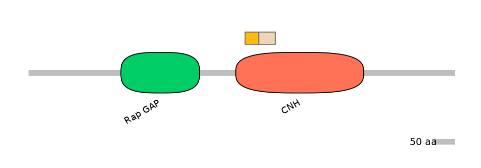 HsaINT0067759-EXC