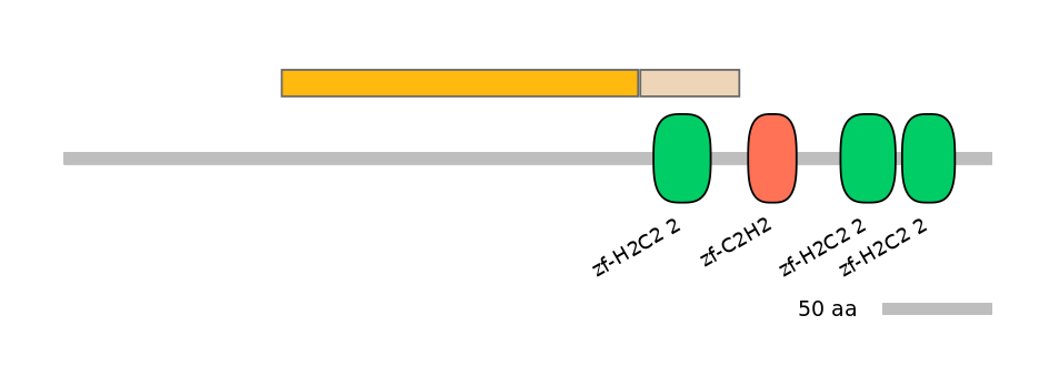 HsaINT0068657-EXC