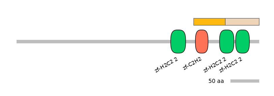 HsaINT0068659-EXC