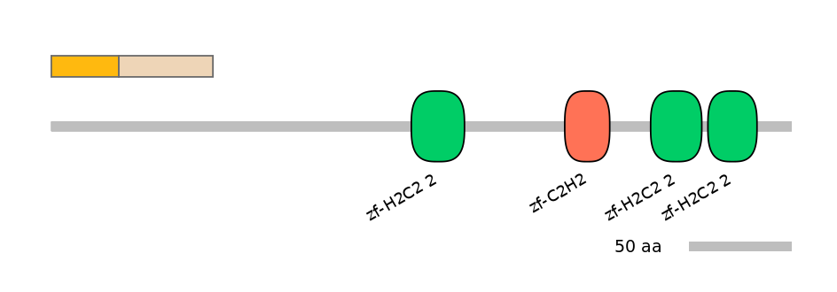 HsaINT0068662-EXC