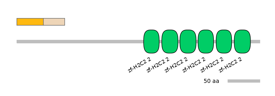 HsaINT0069496-EXC