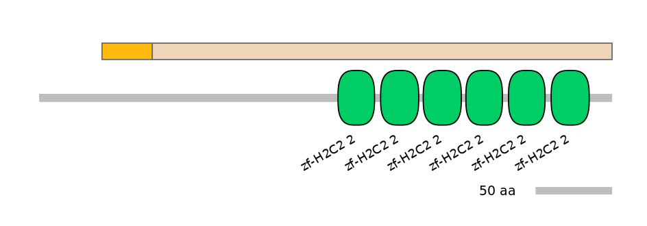 HsaINT0069497-EXC