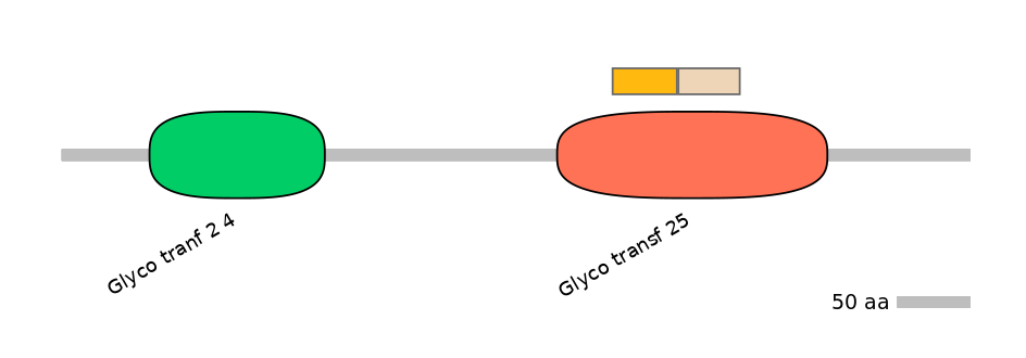 HsaINT0069709-EXC