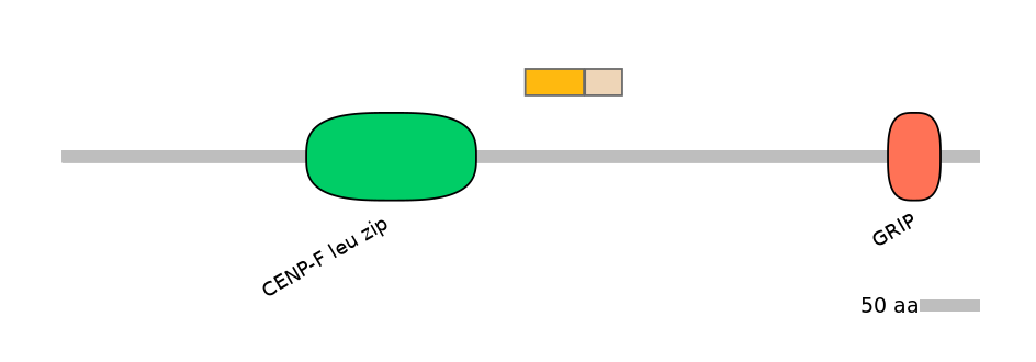 HsaINT0070366-EXC