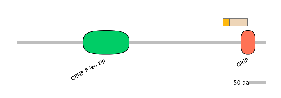 HsaINT0070373-EXC