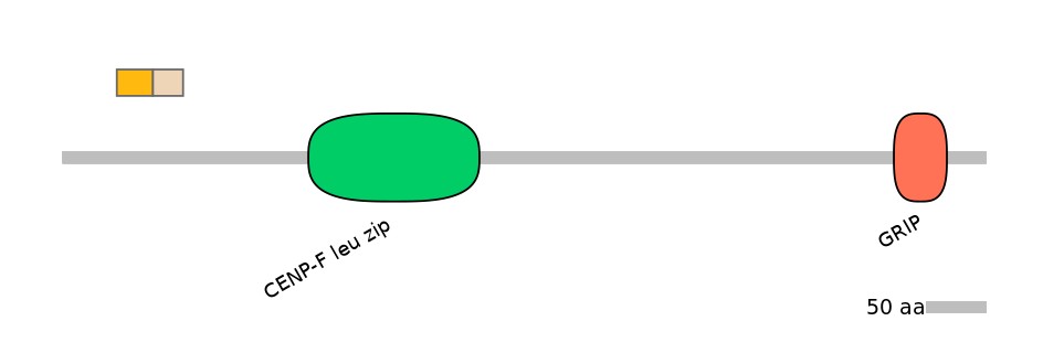 HsaINT0070377-EXC