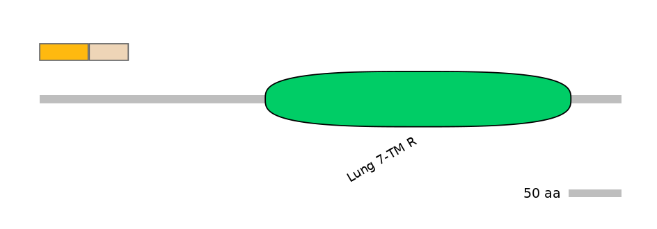 HsaINT0071239-EXC