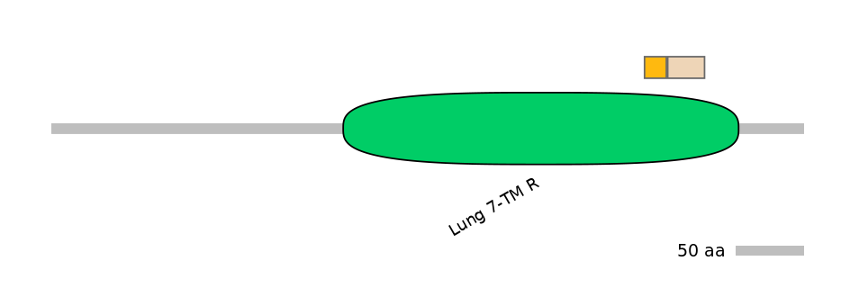 HsaINT0071247-EXC