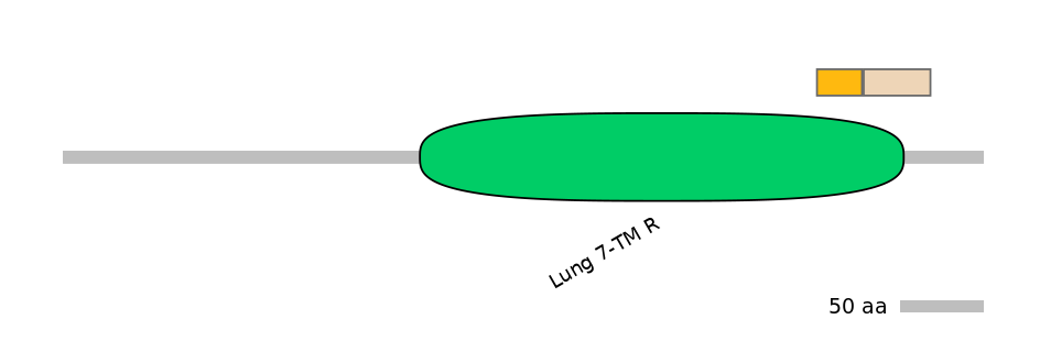 HsaINT0071248-EXC