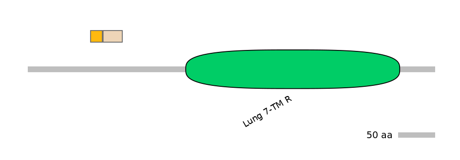 HsaINT0071251-EXC