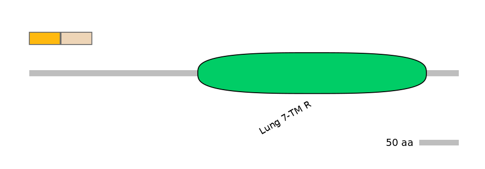 HsaINT0071261-EXC