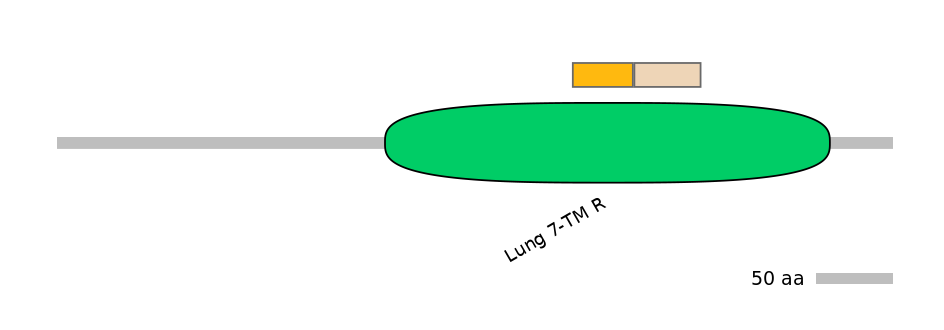 HsaINT0071264-EXC