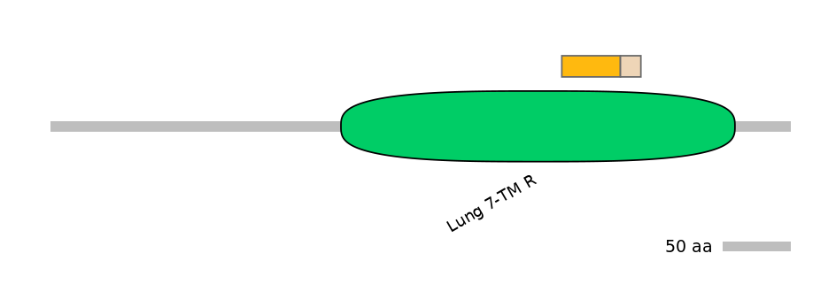HsaINT0071265-EXC
