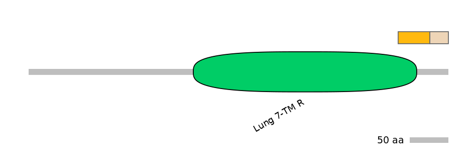 HsaINT0071269-EXC