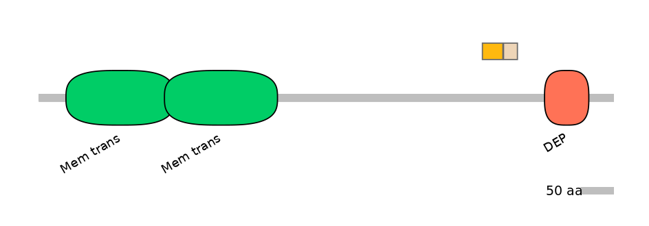 HsaINT0071561-EXC
