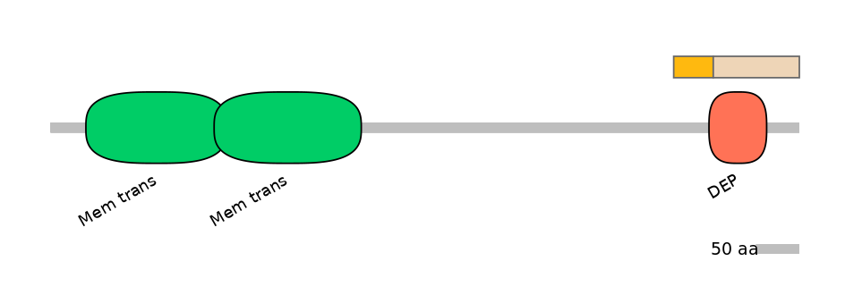 HsaINT0071563-EXC
