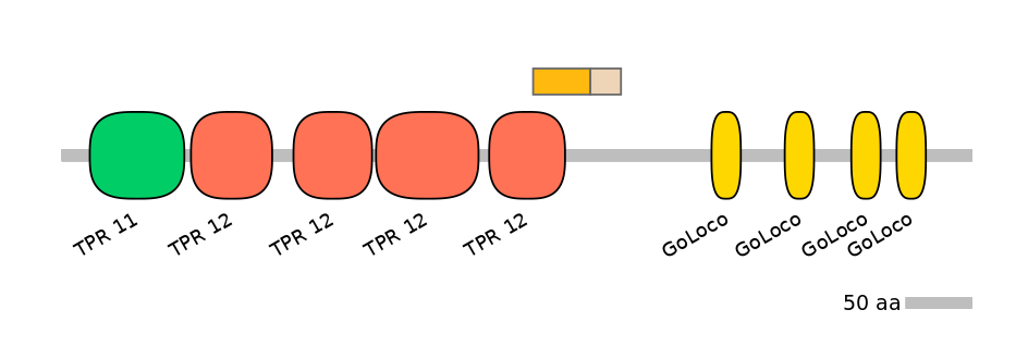 HsaINT0071938-EXC