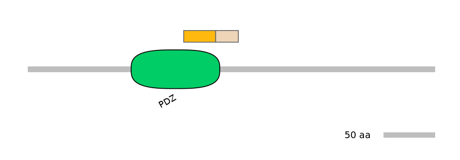HsaINT0072114-EXC