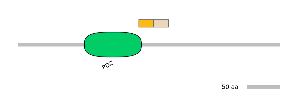 HsaINT0072115-EXC