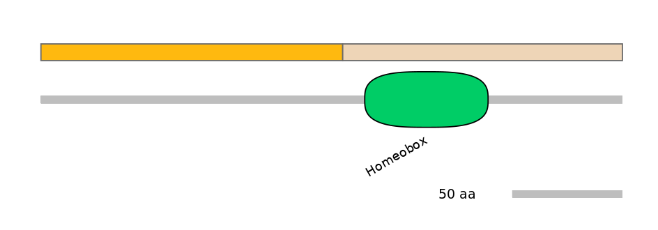 HsaINT0073143-EXC
