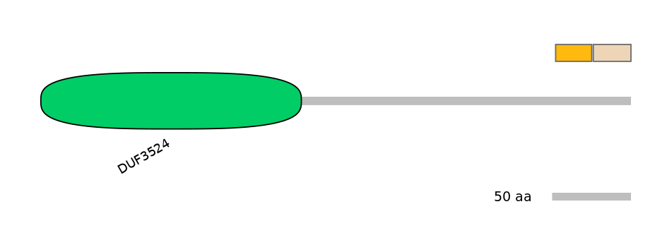 HsaINT0073146-EXC