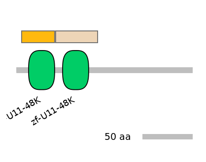 HsaINT0073579-EXC