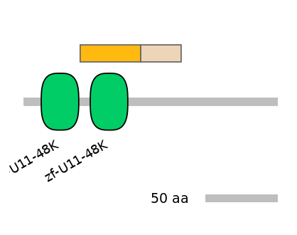 HsaINT0073580-EXC