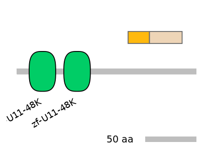 HsaINT0073582-EXC