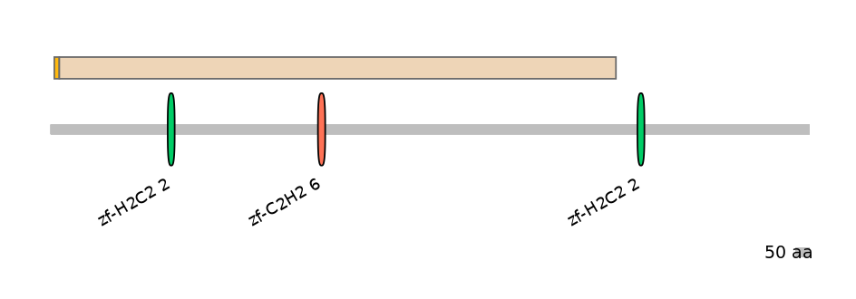 HsaINT0076315-EXC